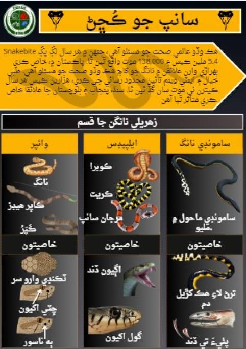 Snake Bite Sindhi